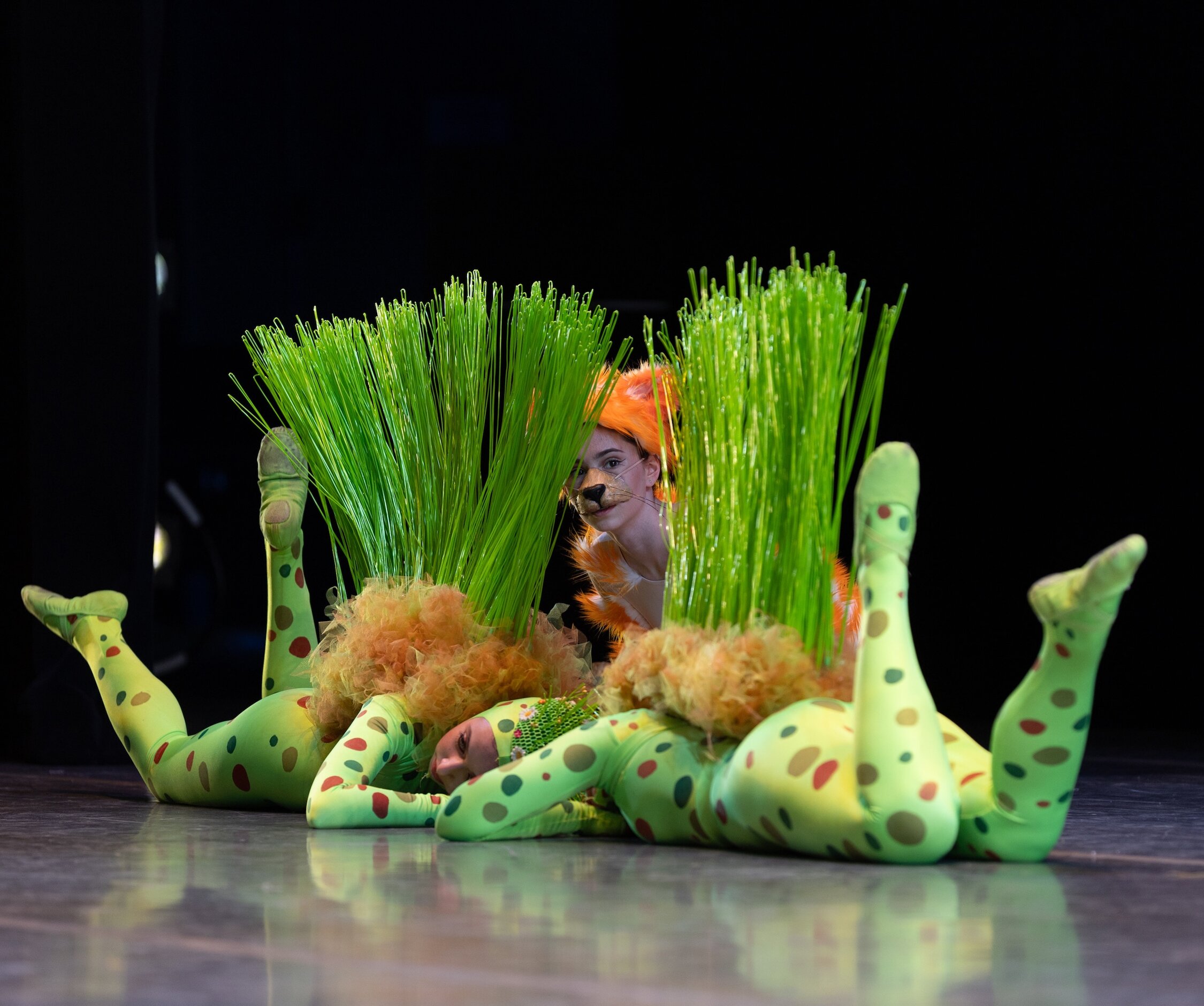 Ballet Dancers in Costumes.