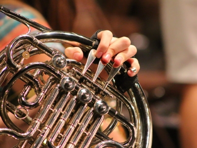 HornCloseUp-1-scaled_400x300_acf_cropped