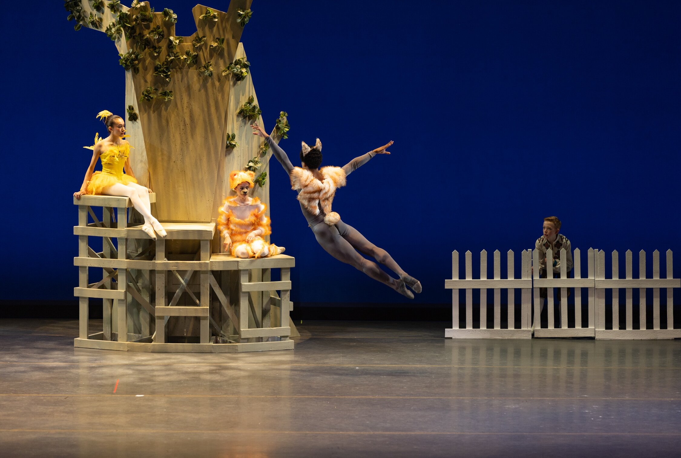Ballet Dancer Jumping